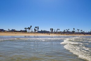 A beach with palm trees, a sandy shore, and a clear blue sky. - Ocean Park Combo 9 & 10 (San Diego)