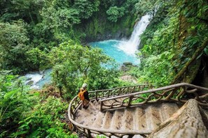 Eine Holztreppe führt zu einem Wasserfall, umgeben von üppigem Grün.