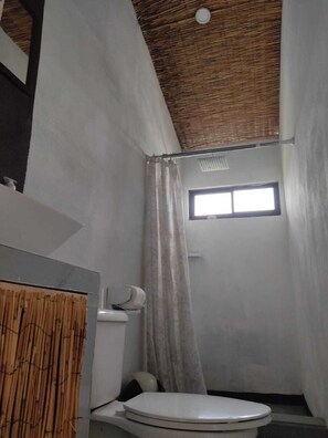 Shower, toilet paper