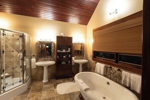 Chuveiro, secador de cabelo, toalhas de banho, sabonete