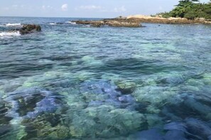 Vista costera con agua cristalina, costa rocosa y vegetación.