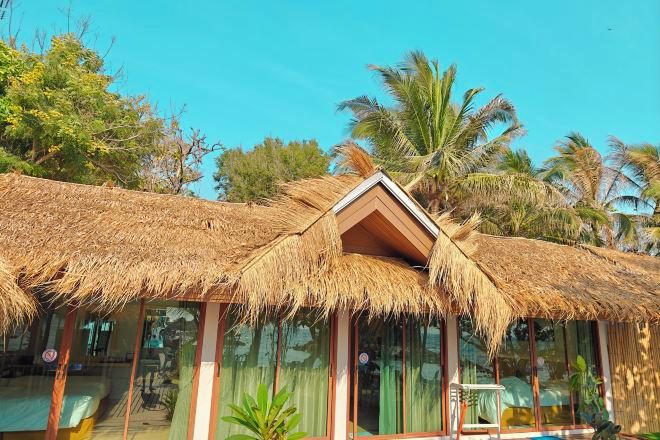 A thatched-roof structure with large windows, surrounded by palm trees.