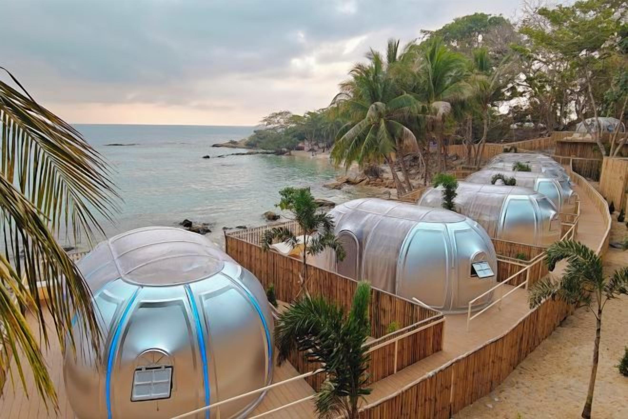 Transparent dome-shaped structures with a view of the sea and palm trees.