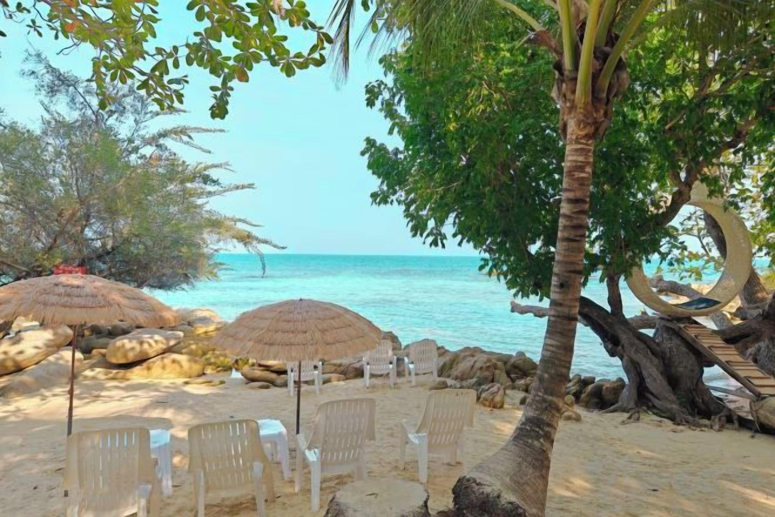 A beach setting with thatched umbrellas, lounge chairs, and a palm tree.