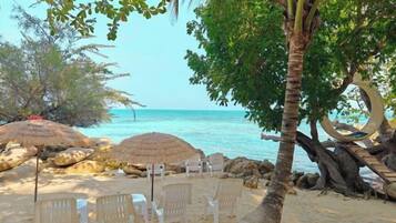A beach setting with thatched umbrellas, lounge chairs, and a palm tree.
