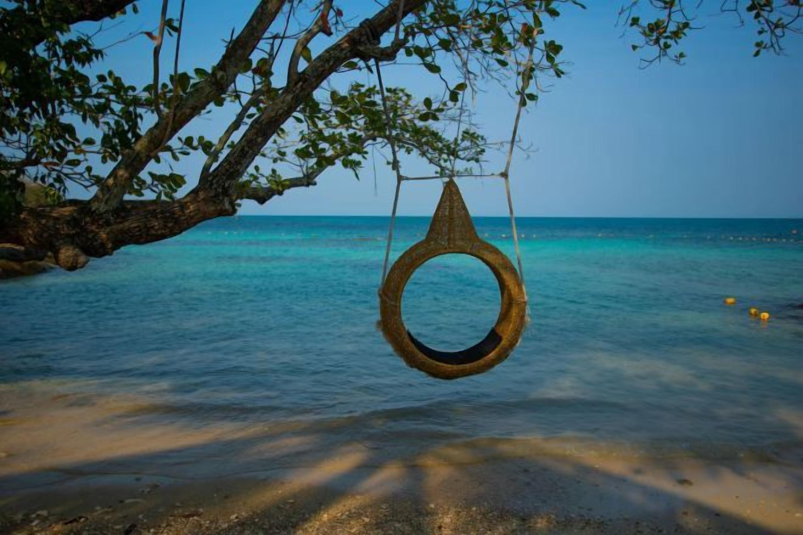 A beach scene with a tire swing hanging from a tree branch over clear turquoise water.