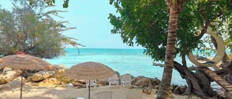 Platja privada a prop, tovalloles de platja, immersió lleugera i pesca