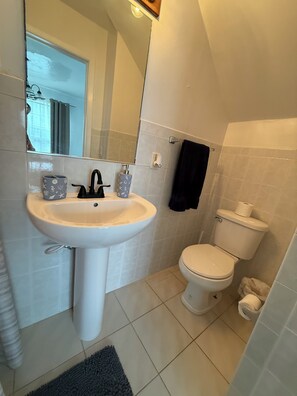 Douche, séchoir à cheveux, serviettes fournies, savon
