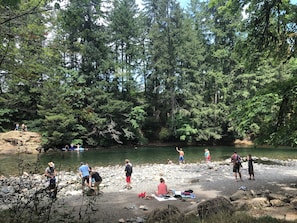 Beach - Central to Vancouver Island. Easy Access to forest & river beaches, Pet friendly (Courtenay)