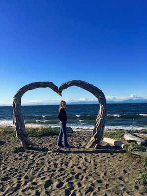 Beach - Central to Vancouver Island. Easy Access to forest & river beaches, Pet friendly (Courtenay)