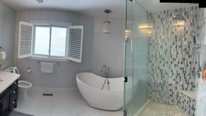 A modern bathroom with a large bathtub, a glass-enclosed shower, and a vanity with a sink and mirrors. - Private Master Bedroom on second floor (Mississauga)