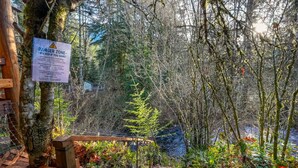 Property grounds - Mt Rainier Cabin on Big Creek! Hot Tub! Fireplace! (Ashford)