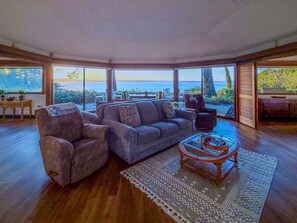 TV, fireplace, books