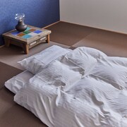 ホテル十日三日