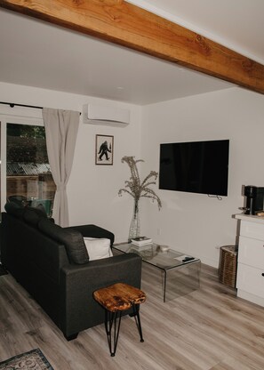 Televisión 