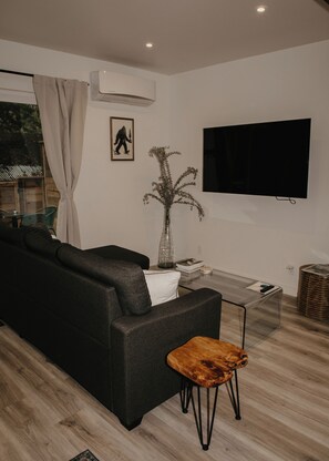 Televisión
