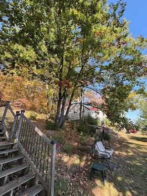 Property grounds - Charming Lakefront Cottage (Calabogie)