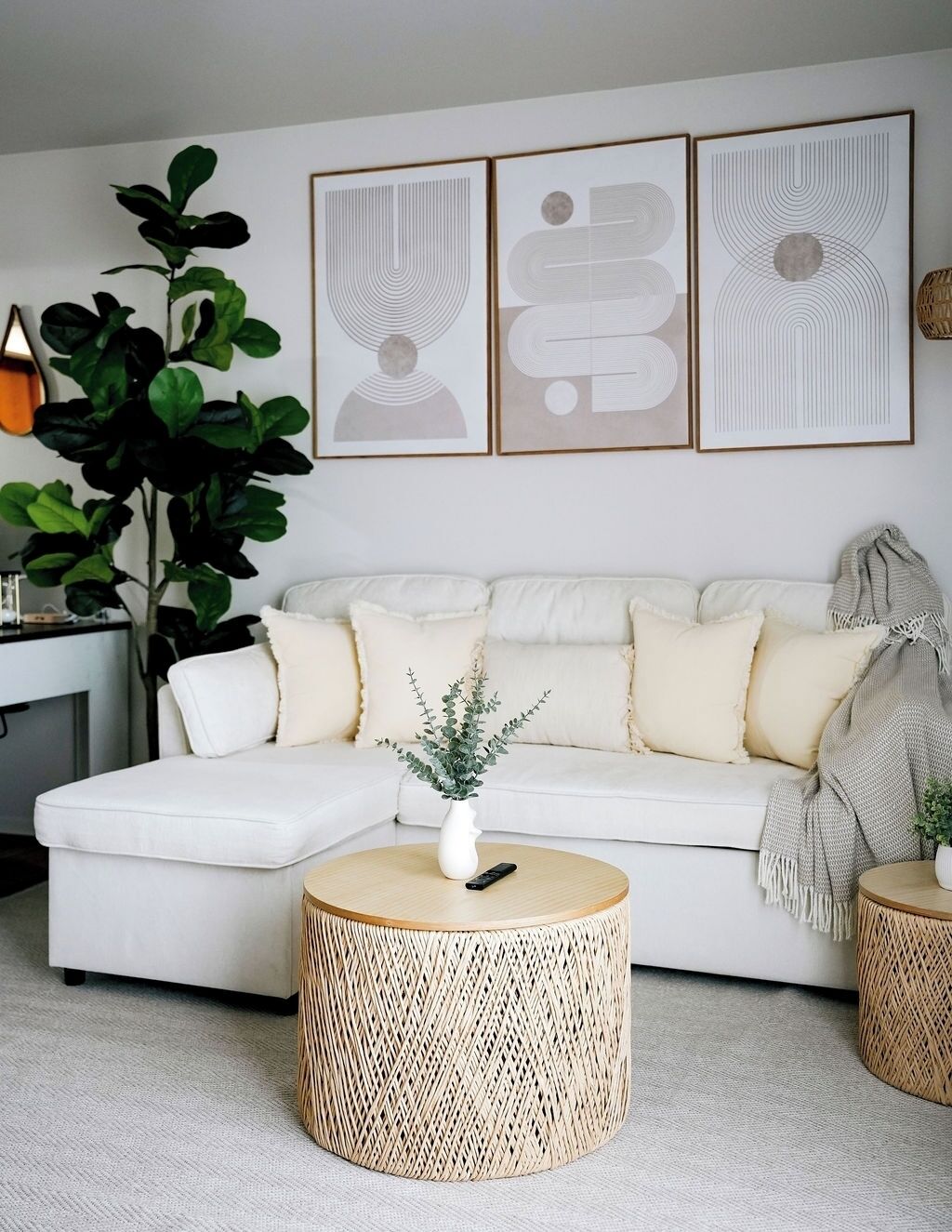 Smart TV, computer monitors