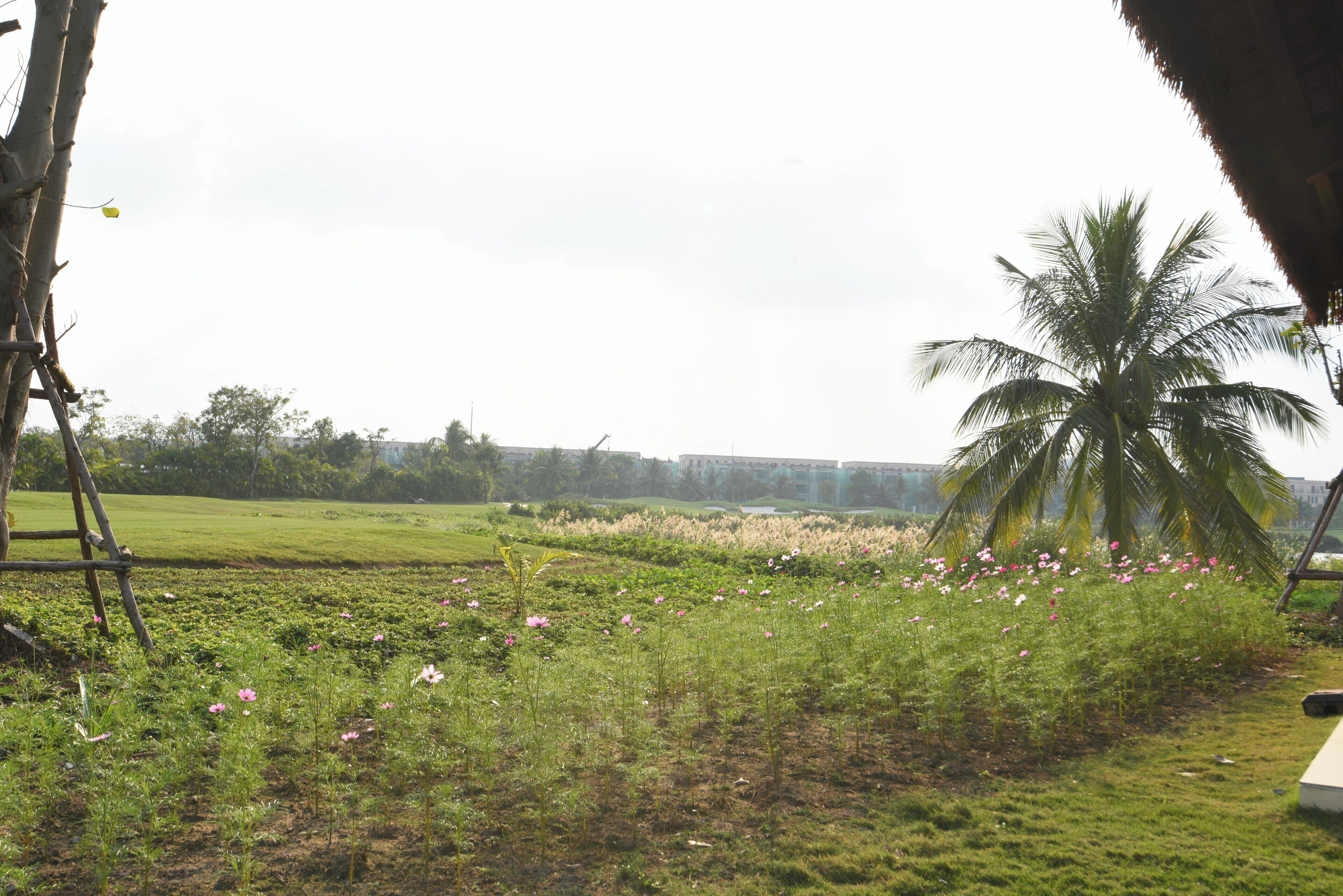 Áreas de la propiedad
