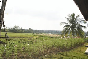 Jardines del alojamiento