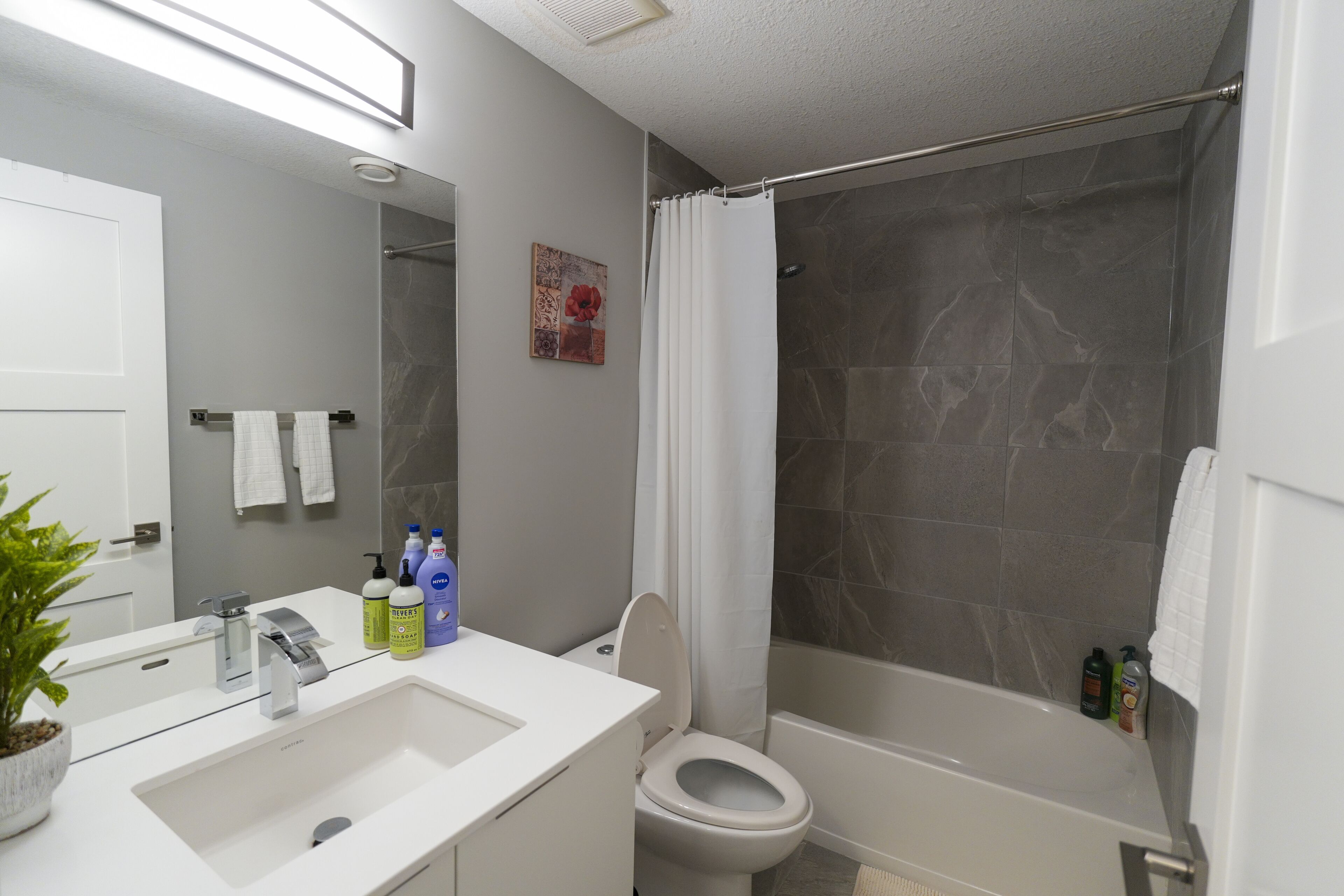 Hair dryer, towels, soap, shampoo