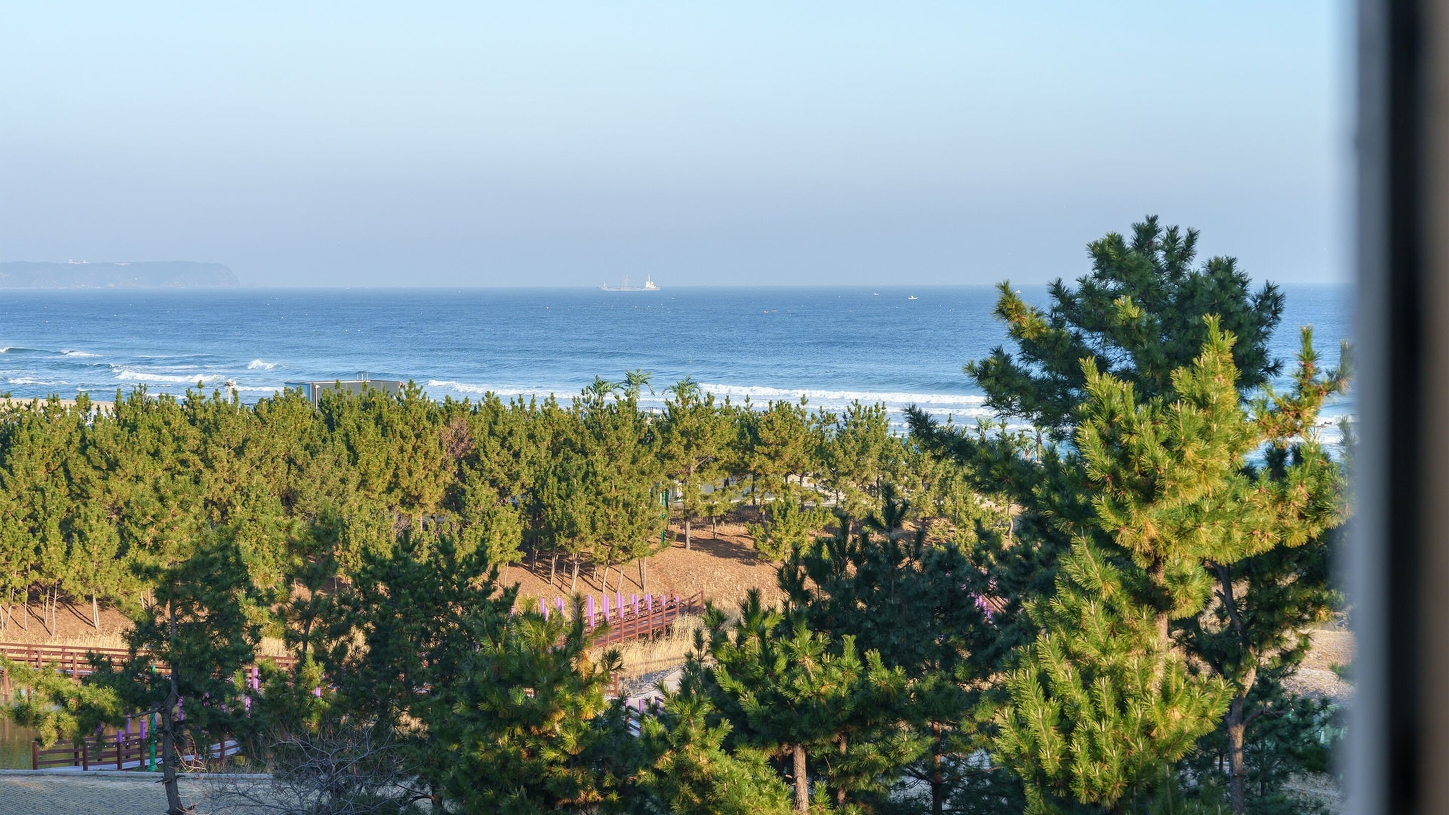 Basic Room, 2 Bedrooms (VIP2(Two-room / Ocean View)) | 1 bedroom, free WiFi