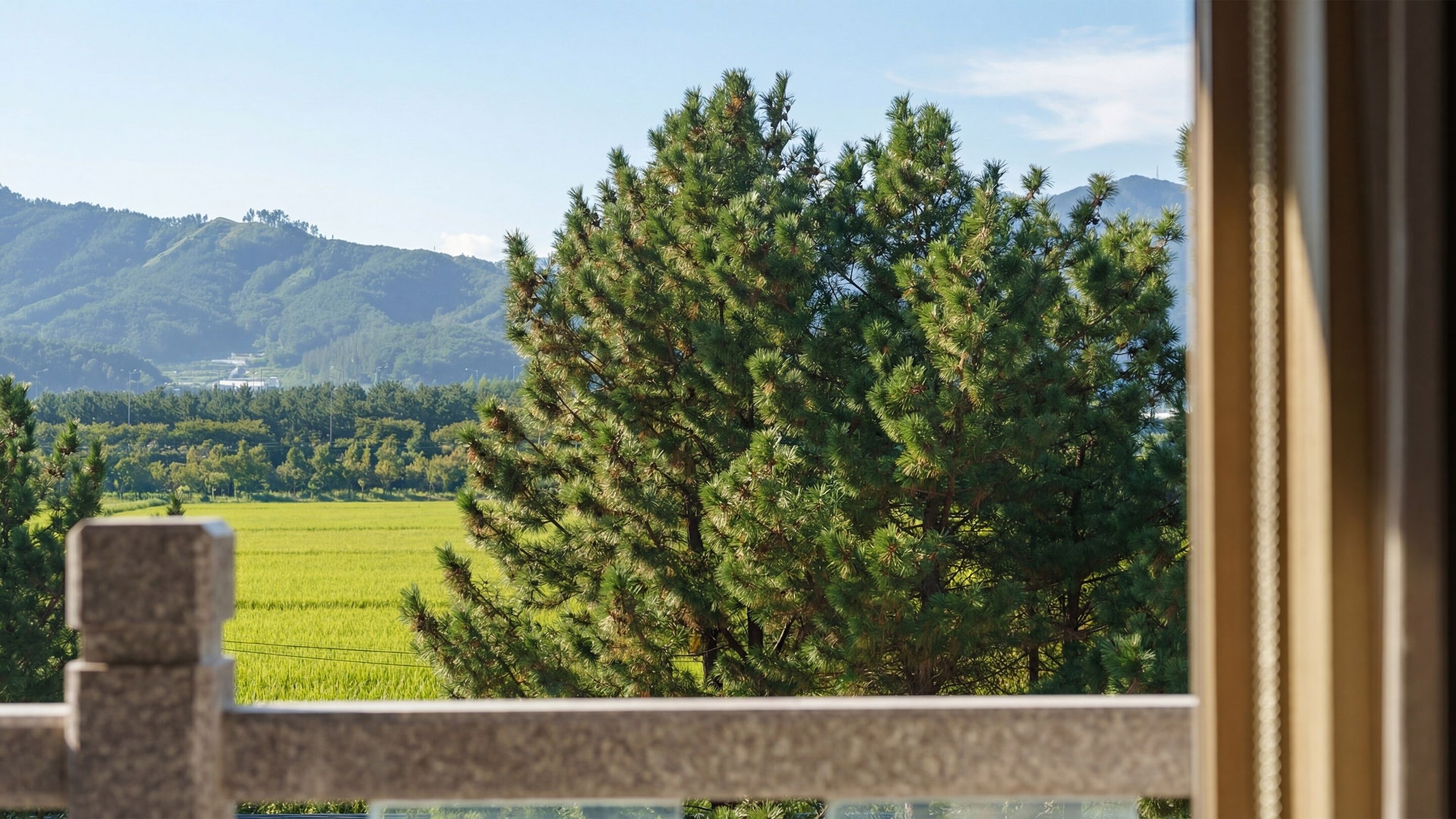 Kamar Basic, 1 kamar tidur (501(Bed Room/Forest View)) | 1 kamar tidur dan Wi-Fi gratis