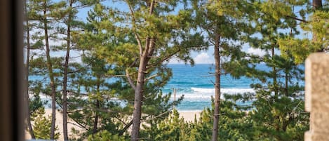 1 habitación y wifi gratis