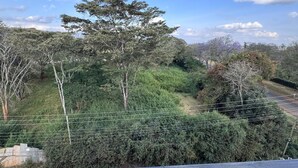 A view of a road with a fence and trees in the background. - G&M Luxe Abode Vacation Rental Nyeri (King'ong'o)