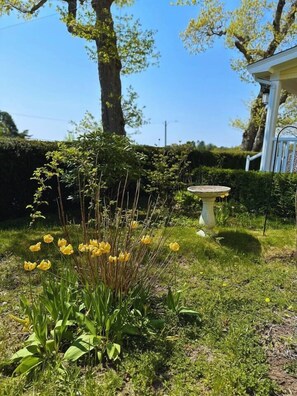 House | 5 bedrooms - The Oaks Seaside Retreat (Chester Basin)