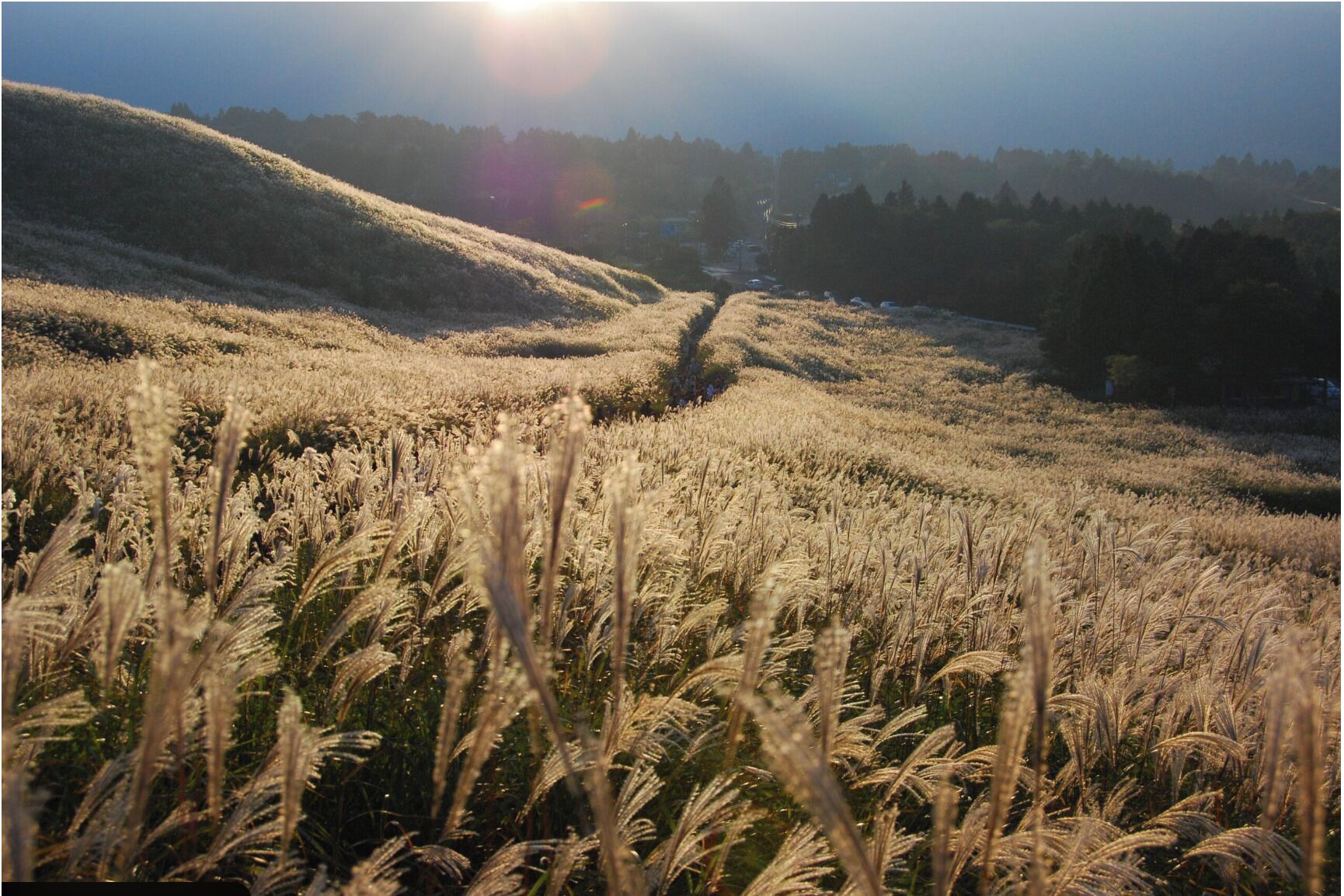 Land view from property