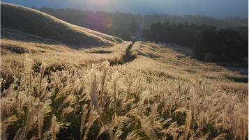 Land view from property