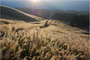 Land view from property - Hakone Komorebi-an (Hakone)