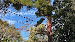 A residential house with a garage, surrounded by trees and a lawn. - Exceptional Dewey Beach Stay Central Location Near Ocean & Bay (Dewey Beach)