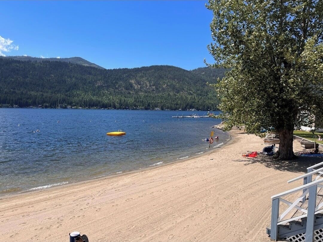 Serviettes de plage