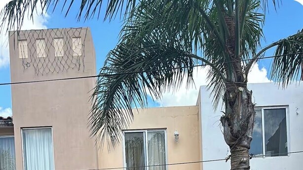 Um edifício com entrada coberta, colunas, um banco e plantas em vasos.