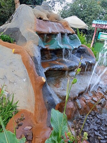 Northwood Gardens & Adventure Park