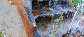 Northwood Gardens & Adventure Park