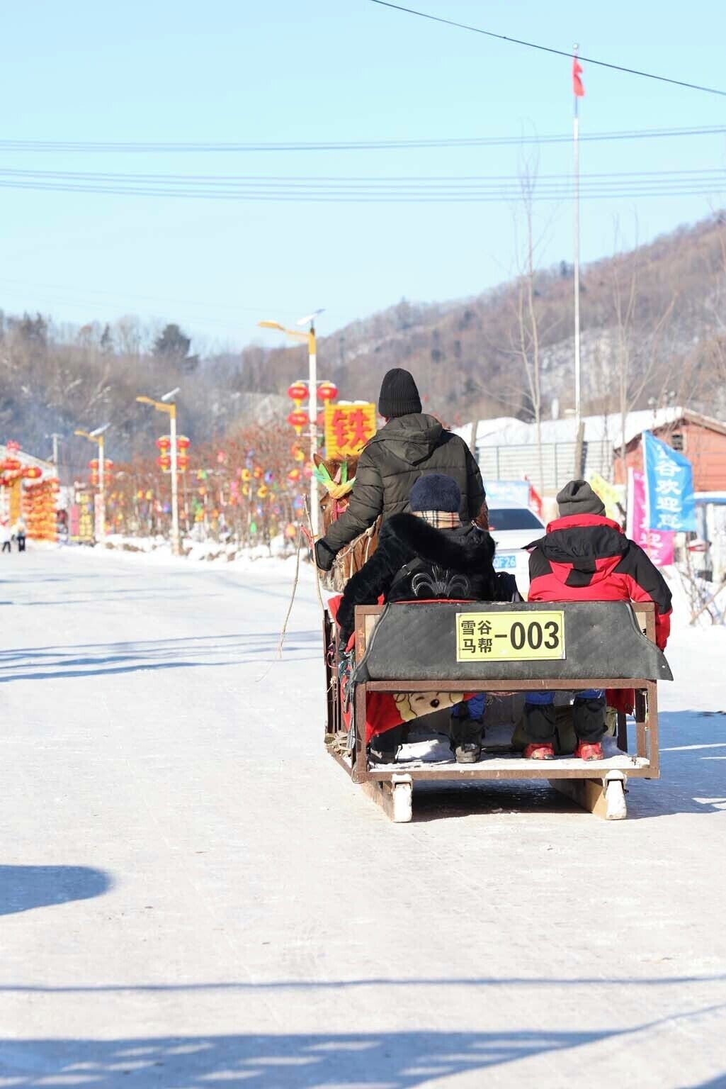 A sled with two people being pulled by a dog, on a snowy road with buildings and flags in the background.