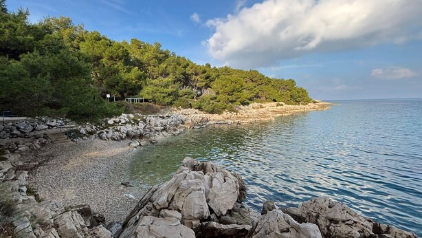A rocky shoreline with clear water, trees, and a distant view of the sea. - Amalija Sea View Studio  Apartment 4, Mali Lošinj, Croatia (Mali Lošinj)