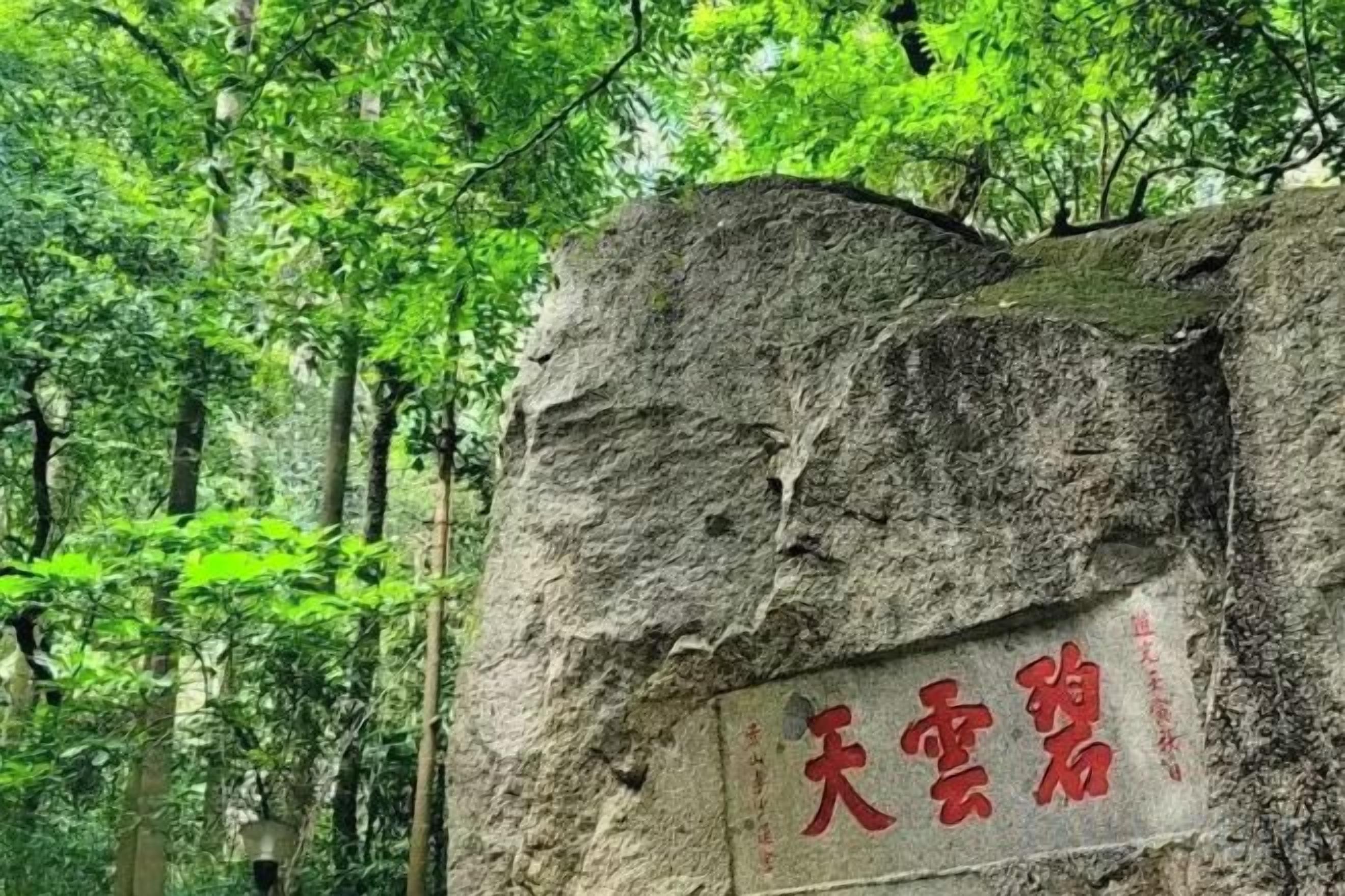 A stone with carved text, surrounded by a forest.