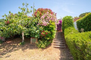 Property grounds - Saline - Apartment with sea views in Portoferraio (Portoferraio)