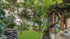 Ảnh chưa phân loại, 4 trong số 24 ảnh, nút
