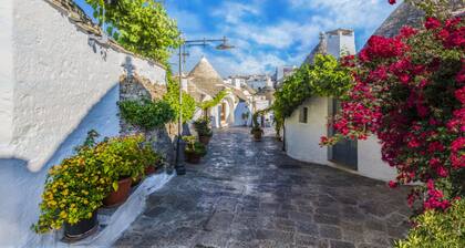 Bianca Olive House - Alberobello