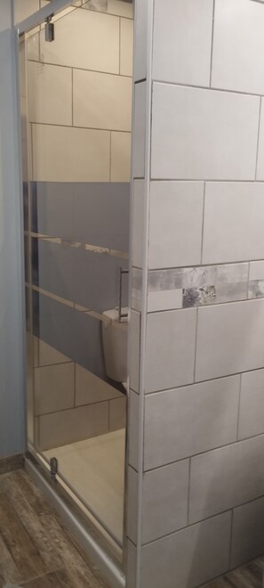 Ducha, secador de pelo, toallas, papel higiénico