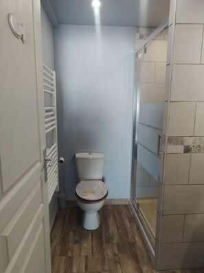 Ducha, secador de pelo, toallas, papel higiénico