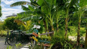 A garden with banana trees, a signpost with motivational phrases, a bicycle, and a paved path.