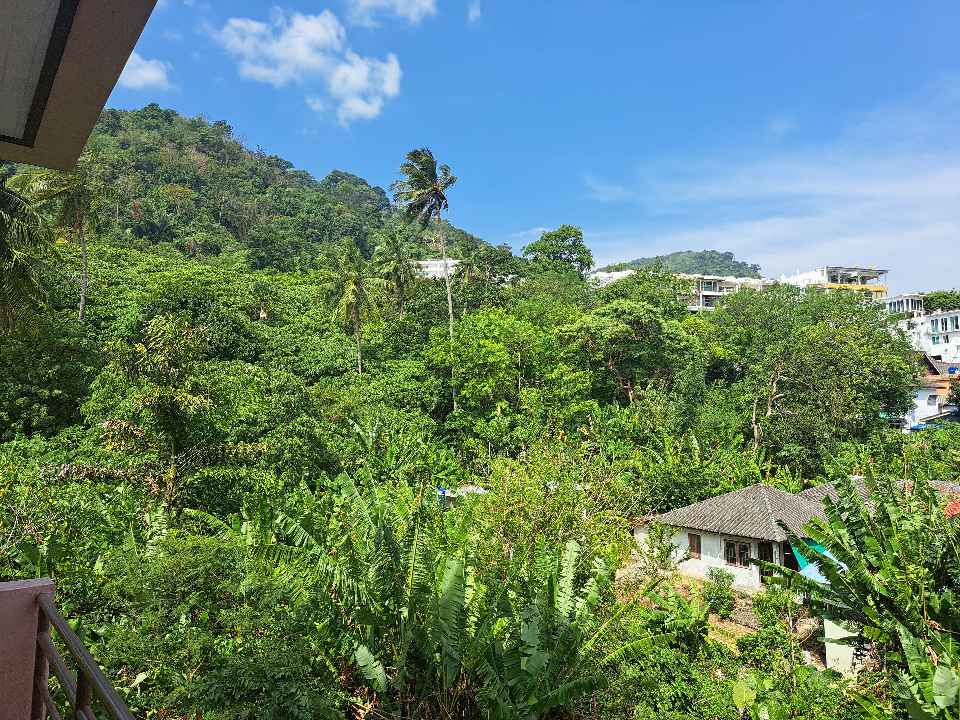 A lush green landscape with dense vegetation, a small white building with a tiled roof, and a clear blue sky.
