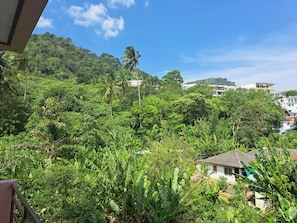 A lush green landscape with dense vegetation, a small white building with a tiled roof, and a clear blue sky. - Cozy Grove (Patong)