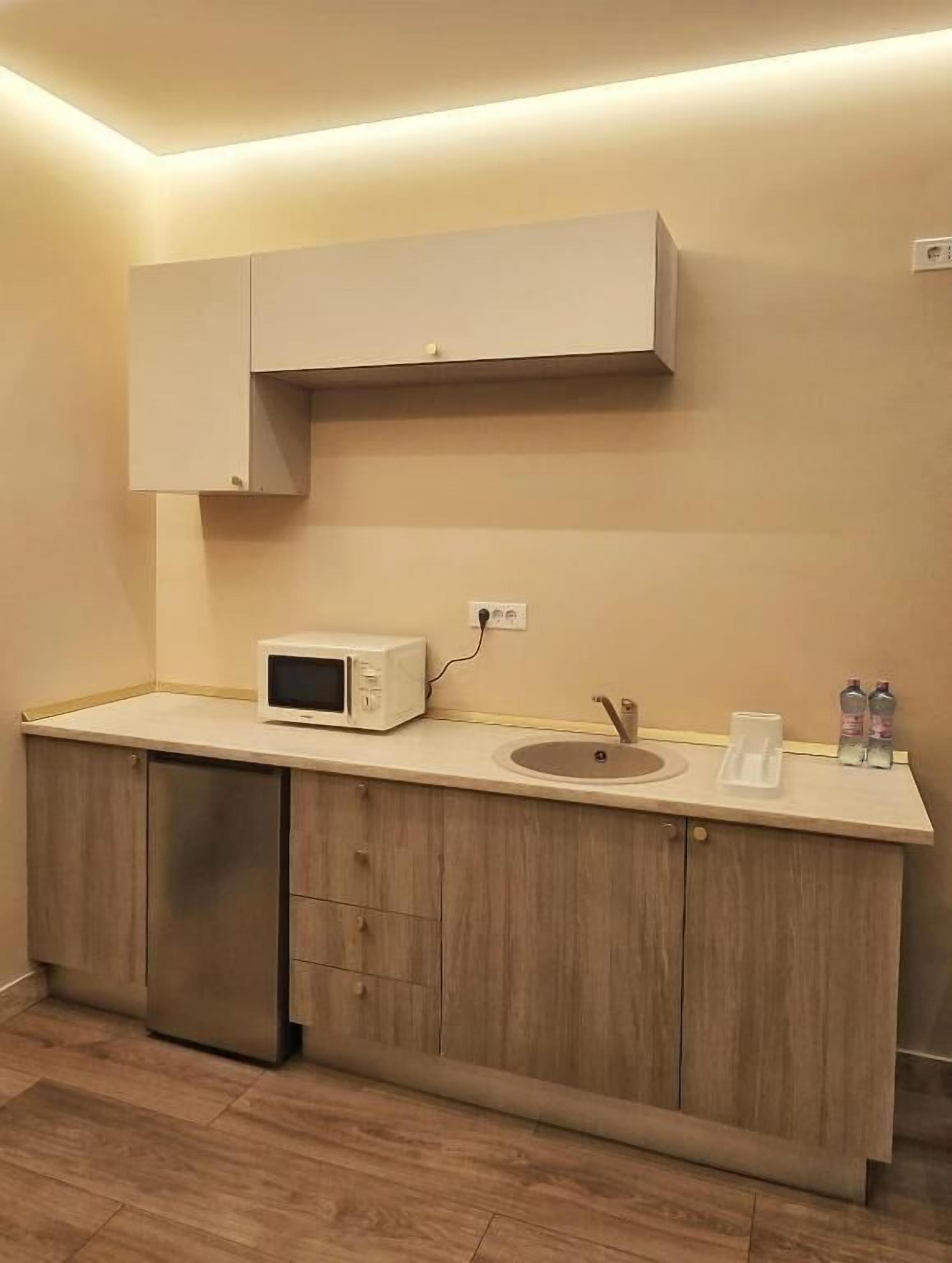 Una cocina compacta con microondas, pileta y muebles de madera.